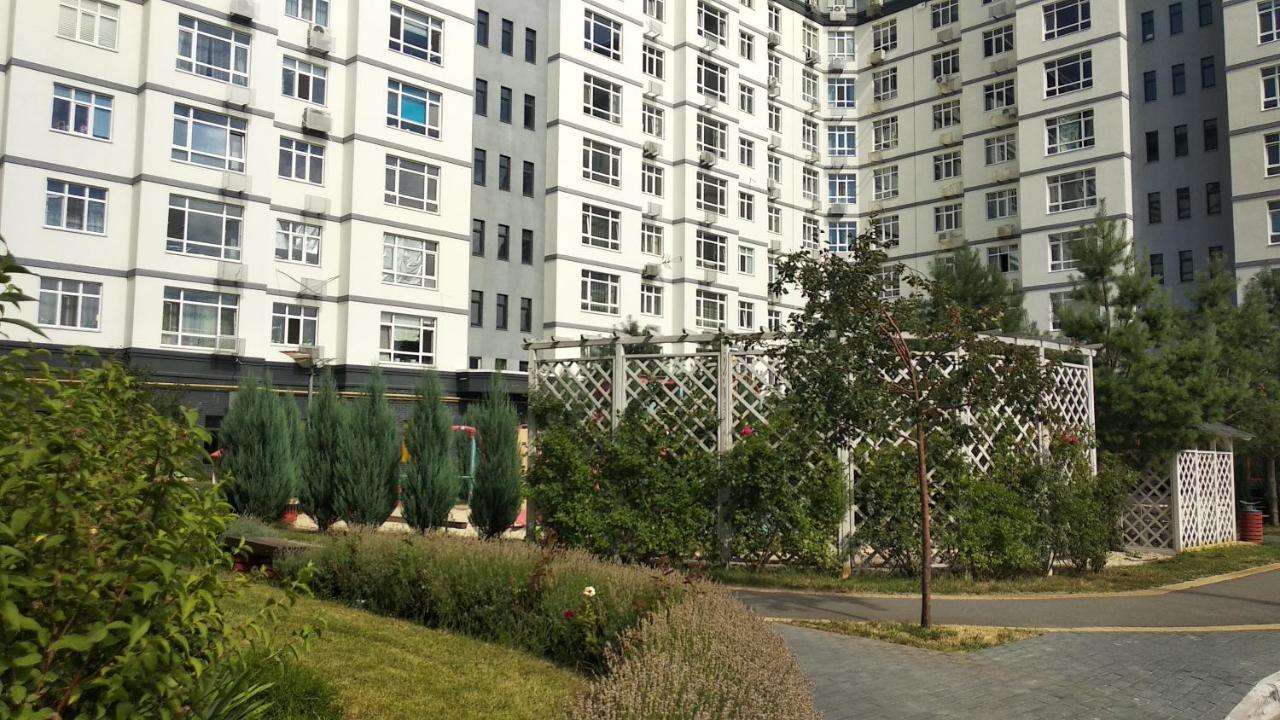 Apartment Fly Up Boryspil